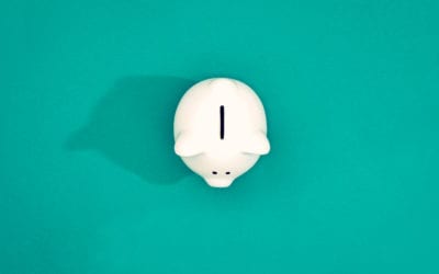 Limited Company Director Pay