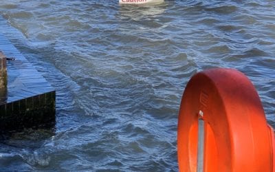 Surviving the recession