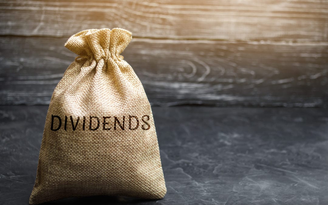 Dividends money bag