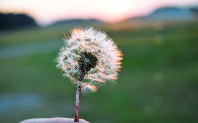 What are the benefits of filing my tax return early?