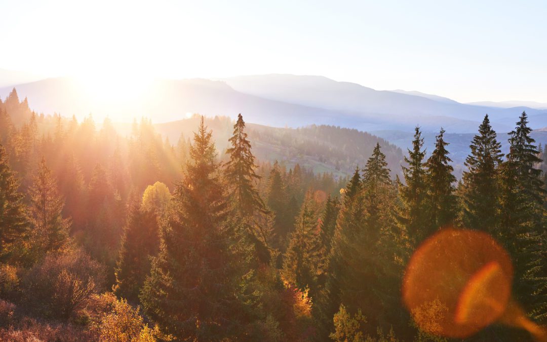 Beautiful autumn morning on the view point above the deep forest valley in Carpathians, Ukraine, Europe