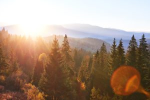 Beautiful autumn morning on the view point above the deep forest valley in Carpathians, Ukraine, Europe