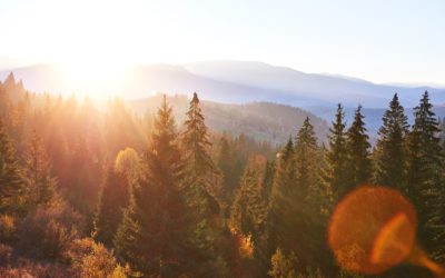 Why you haven’t signed your proposal yet