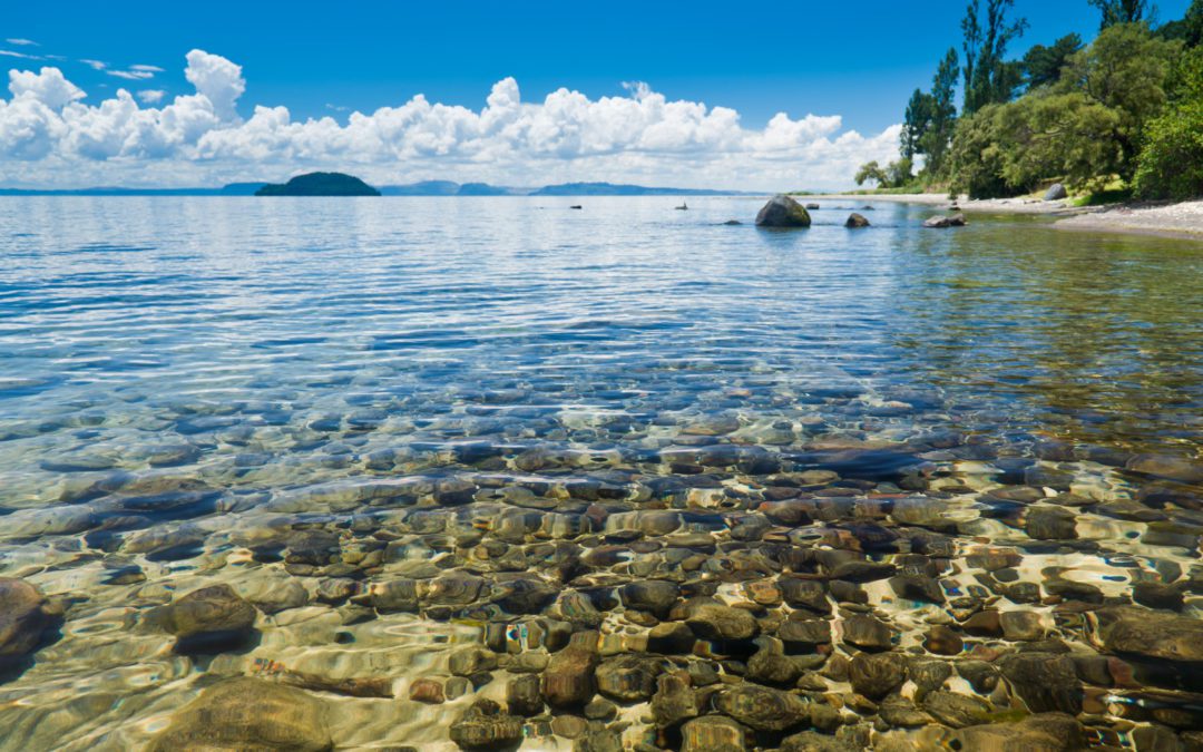 Clear lake water