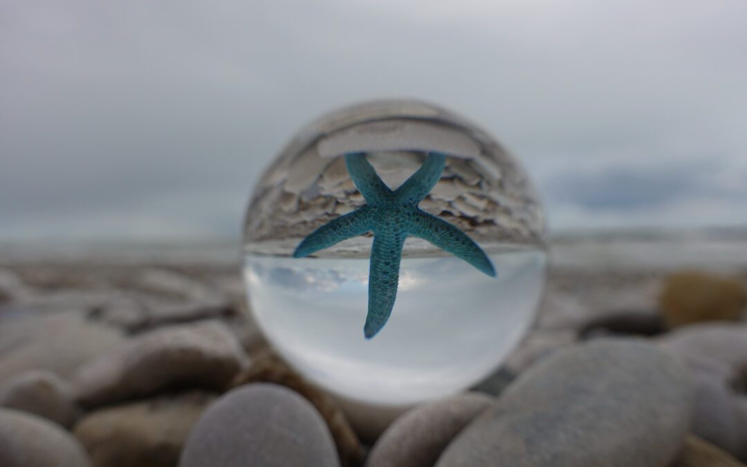 Starfish in a crystal ball